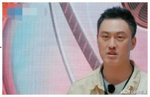 娱乐圈吃瓜神秘人是谁,揭秘神秘“瓜农”背后的真相